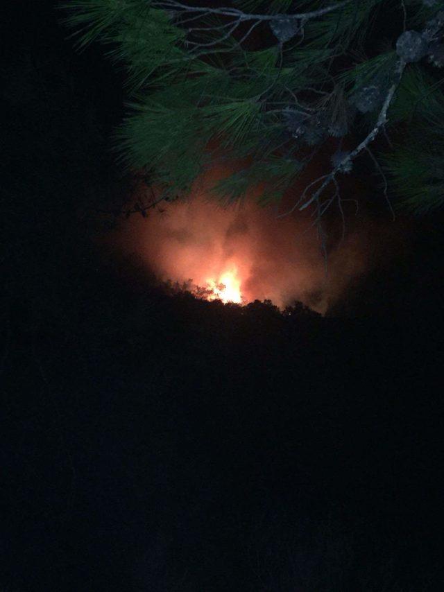 Muğla'nın Marmaris ilçesindeki ormanlık alanda yangın