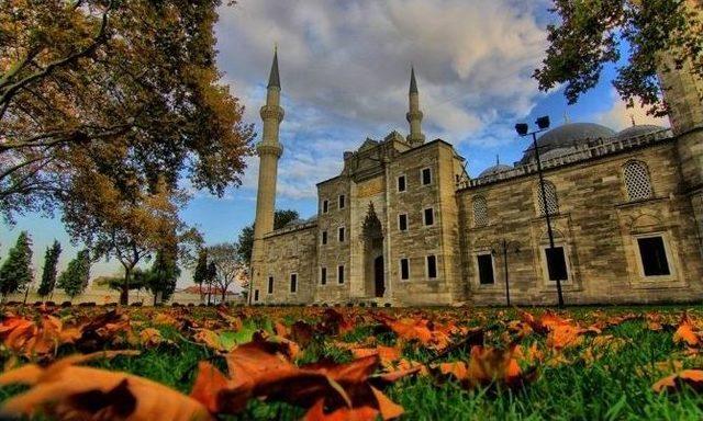 Sonbahar Fotoğrafları Yarıştı 1