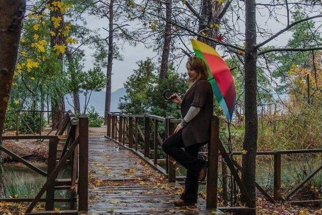 Sonbahar Fotoğrafları Yarıştı 2