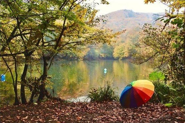 Sonbahar Fotoğrafları Yarıştı 3