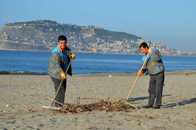 Alanya Belediyesi’nden Sahil Temizliği