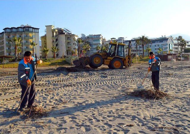 Alanya Belediyesi’nden Sahil Temizliği