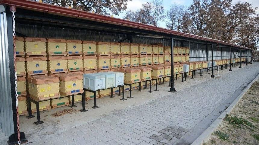 B&uuml;y&uuml;kşehir Belediyesi Bir İlke Daha İmza Attı