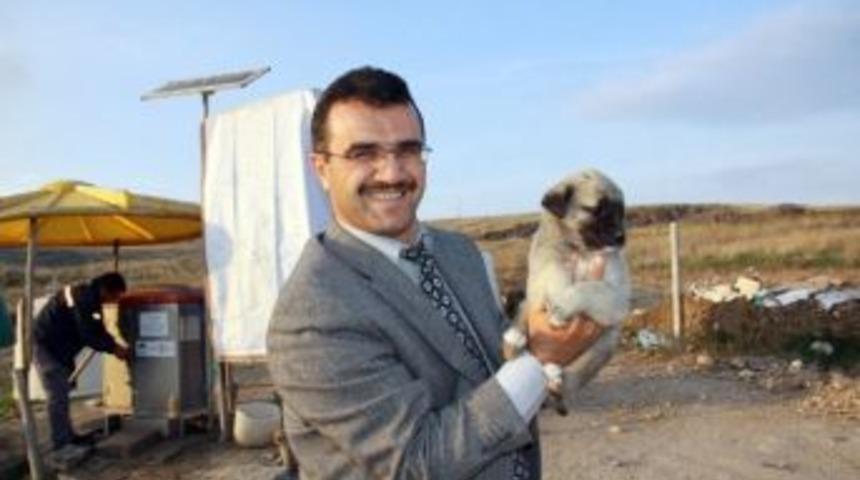 &Ccedil;ubuk Belediyesinden &rsquo;sokak Hayvanlarını Unutmayın&rsquo; &Ccedil;ağrısı