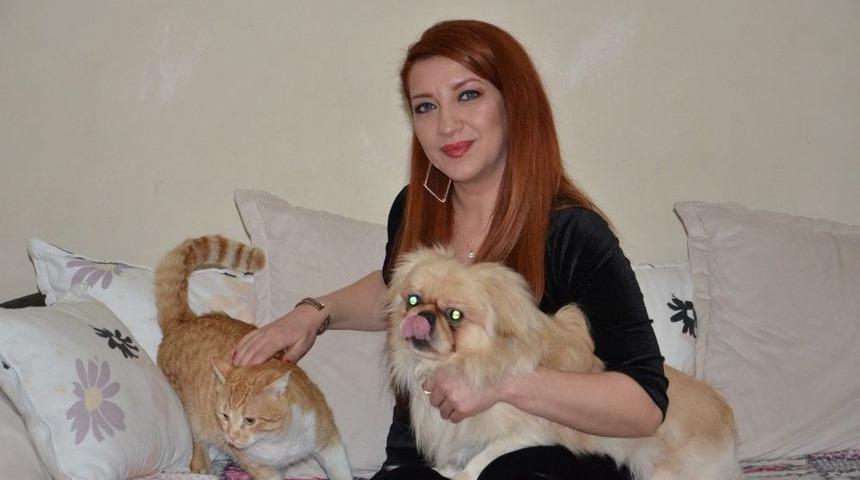 Yenier’den ‘kış Aylarında Sokak Hayvanlarına Sahip Çıkalım’ Çağrısı