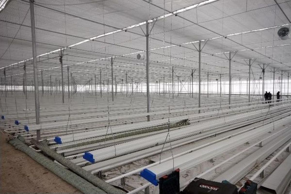 T&uuml;rkiye&rsquo;nin En B&uuml;y&uuml;k Ve En Modern Serası Diyadin&rsquo;de Kuruluyor