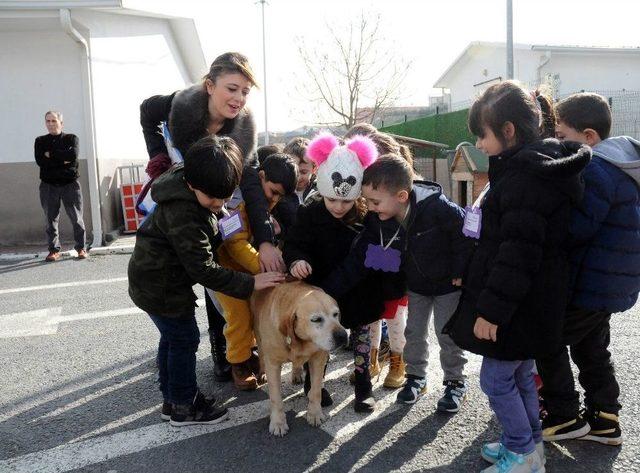 Beylikd&uuml;z&uuml;&rsquo;nde Minikler Hayvan Dostlarıyla Buluştu 1