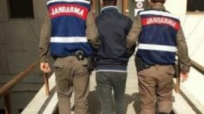 Arara Şahıs Silifke’de Yakalandı