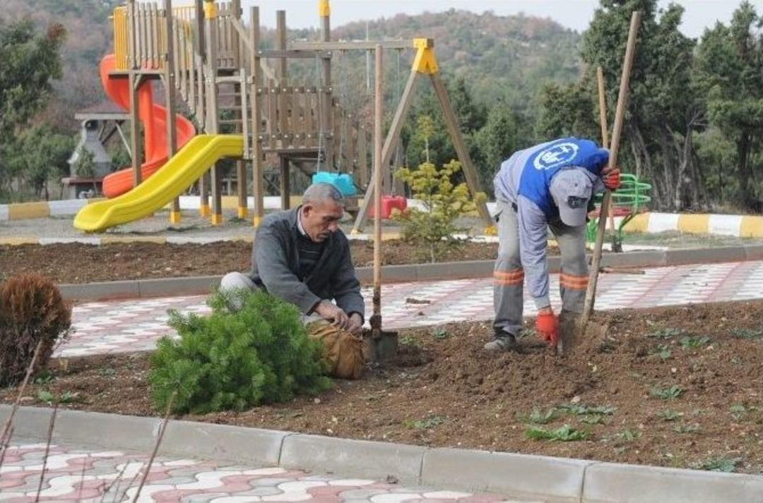 Boz&uuml;y&uuml;k&rsquo;e 5 G&uuml;nde Yaklaşık 2 Bin 500 Fidan Dikildi