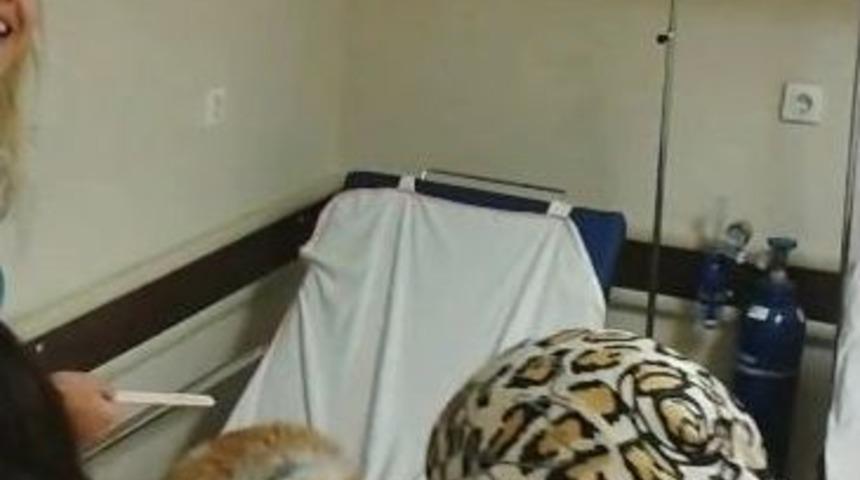 (&ouml;zel Haber) Acil Servis Muayene Sedyesinde &lsquo;kedi&rsquo; Tartışması