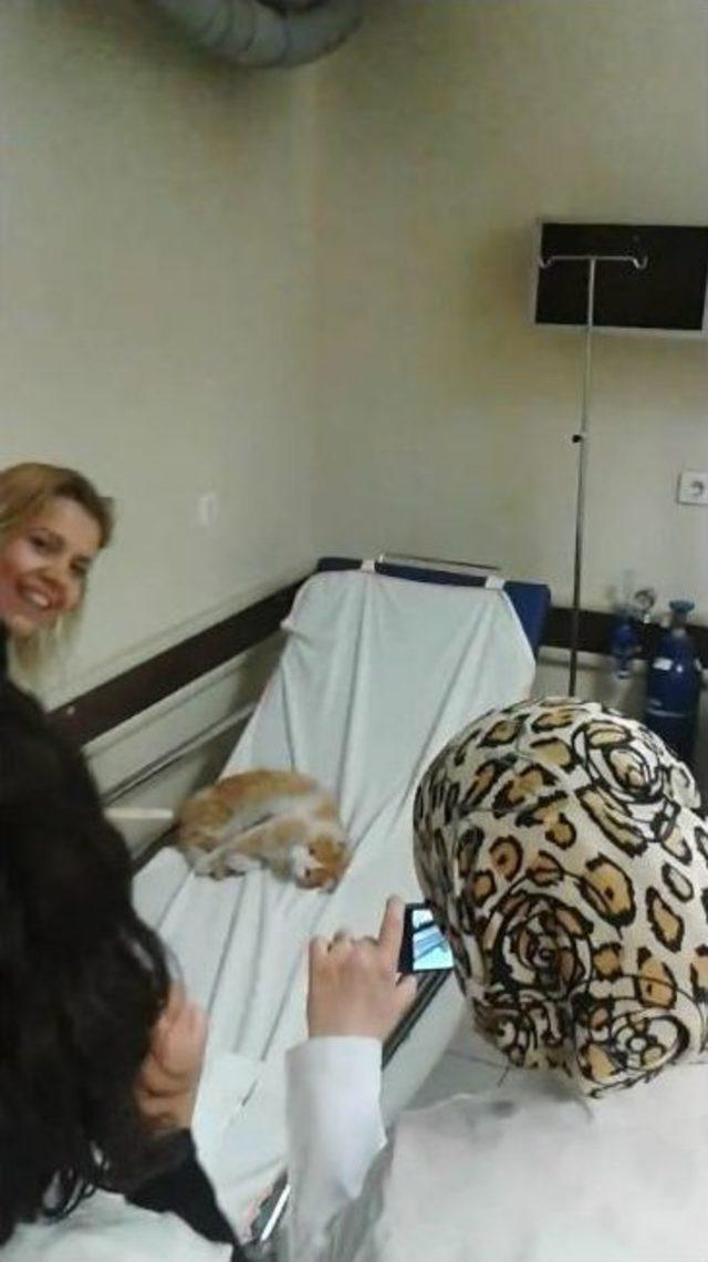 (&ouml;zel Haber) Acil Servis Muayene Sedyesinde &lsquo;kedi&rsquo; Tartışması 2