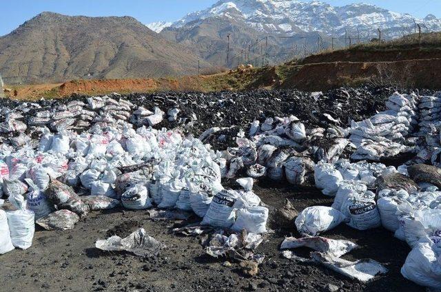 Yanmayan K&ouml;m&uuml;rler Ortada Kaldı 1