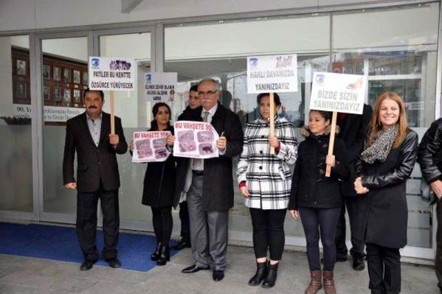 &Ccedil;anakkaleli Hayvanseverlerden Kedi Ve K&ouml;pek &Ouml;l&uuml;mlerine Tepki 1