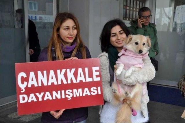 &Ccedil;anakkaleli Hayvanseverlerden Kedi Ve K&ouml;pek &Ouml;l&uuml;mlerine Tepki 2