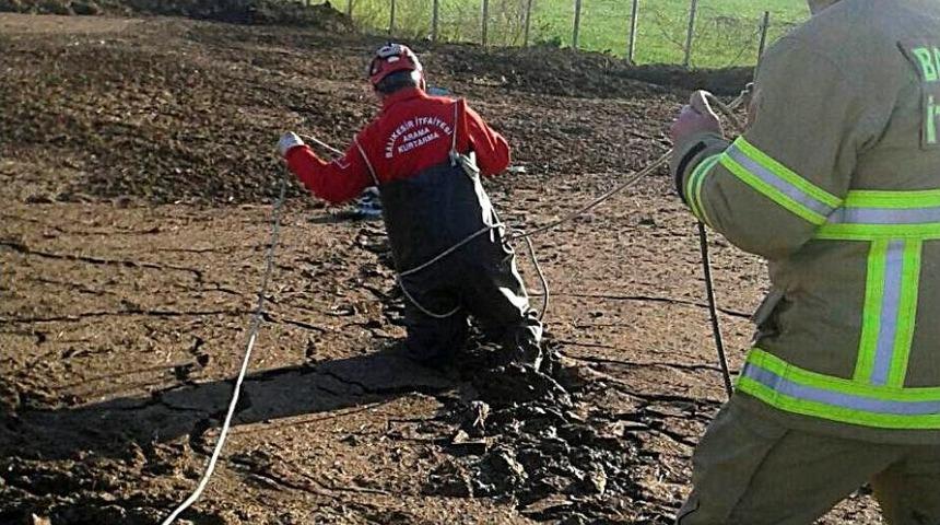 Bataklığa Saplanan Koyunu İtfaiye Kurtardı