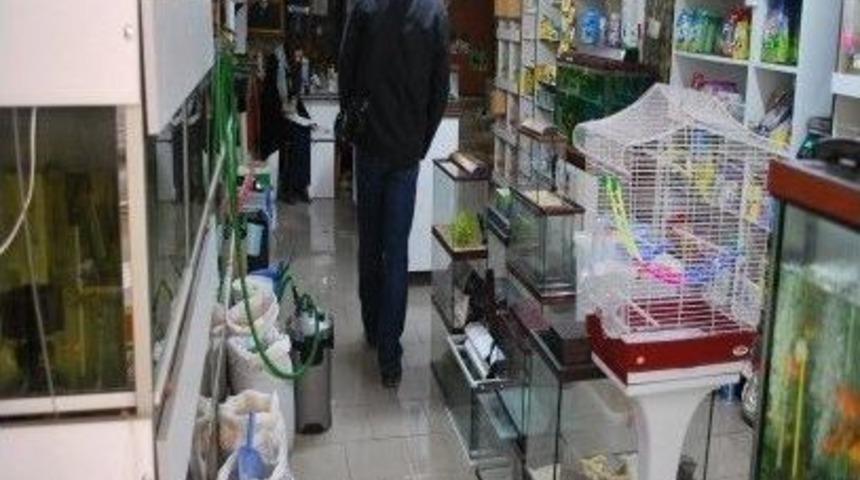 Pet Shop Denetimleri