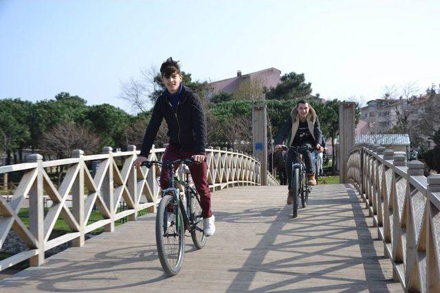 G&uuml;neşi G&ouml;ren Sahile İndi 2