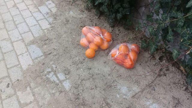 Sokak Ortasında Boşanmak Üzere Olduğu Karısının Boğazını Kesti 1