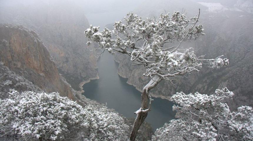 Kanyonda Karlı Manzara