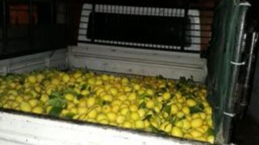 1 Ton Limon &Ccedil;aldılar