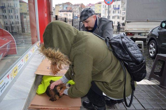 Üşüyen Köpeği Battaniyeye Sarıp Süt Verdiler