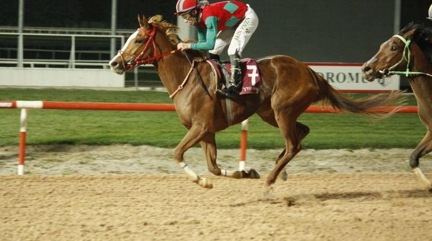 Osmaniye Belediye Başkanlığı Koşusunu "victory Promise" Kazandı