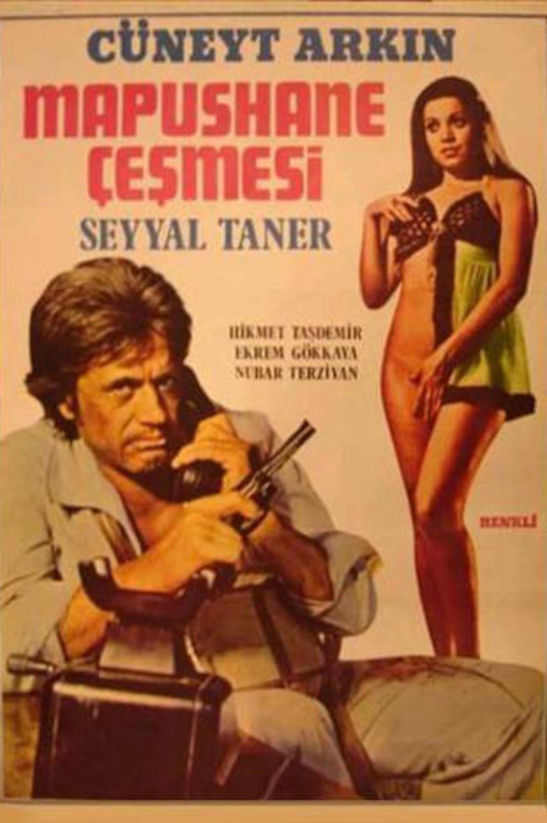 Seyyal Taner Resimleri