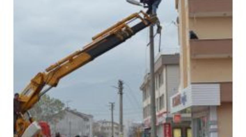 Vin&ccedil; &Uuml;st&uuml;nde Korkutan &Ccedil;alişma