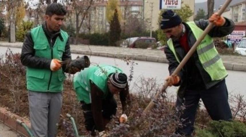 Elazığ Kış Bitkileri İle G&uuml;zelleşecek