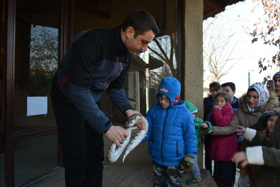 Korkusuz &Ccedil;ocuklar Piton Yılanını Sevip, Kaplanları P&uuml;r Dikkat İzledi
