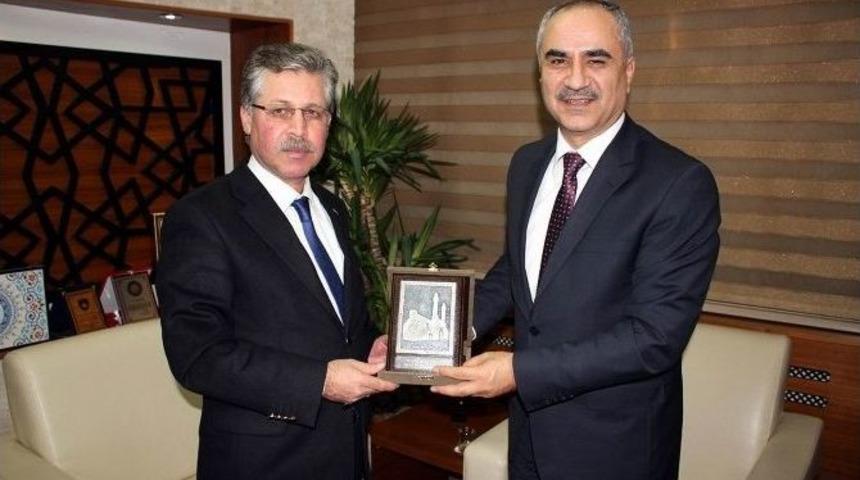 Sivas&rsquo;a Yeni Mesire Alanı Yapılacak