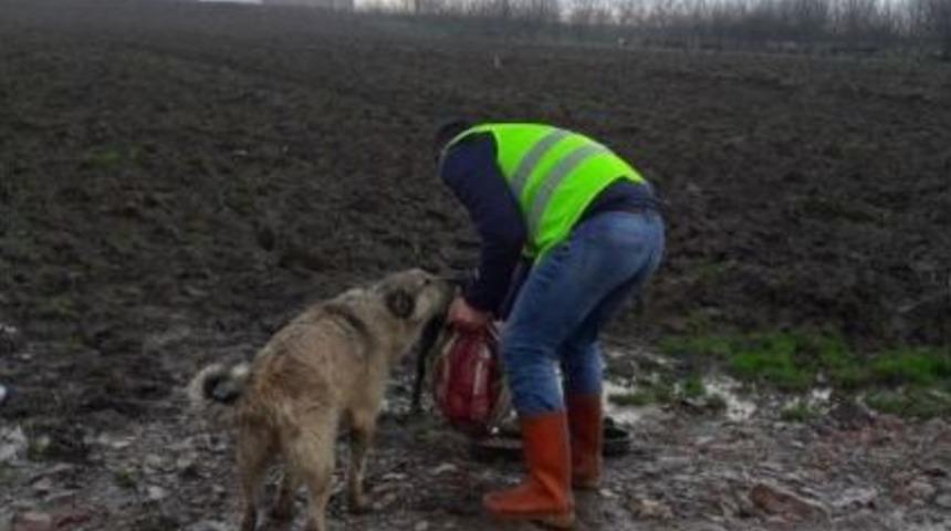 Soğuk Havada Sokak Hayvanları Unutulmadı
