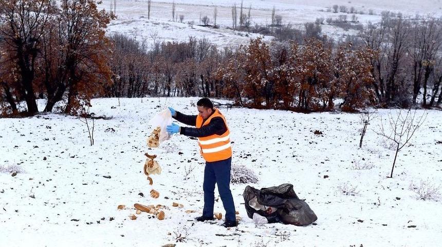 B&uuml;y&uuml;kşehir Belediyesinden Hayvanlara Şefkat Eli
