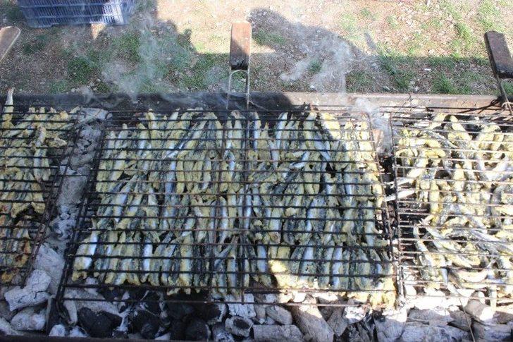 Tezgahta Kilosu 25 Lira Olan Hamsi Bedava Dağıtılınca İzdiham Yaşandı G1