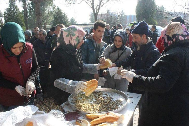 Tezgahta Kilosu 25 Lira Olan Hamsi Bedava Dağıtılınca İzdiham Yaşandı G4