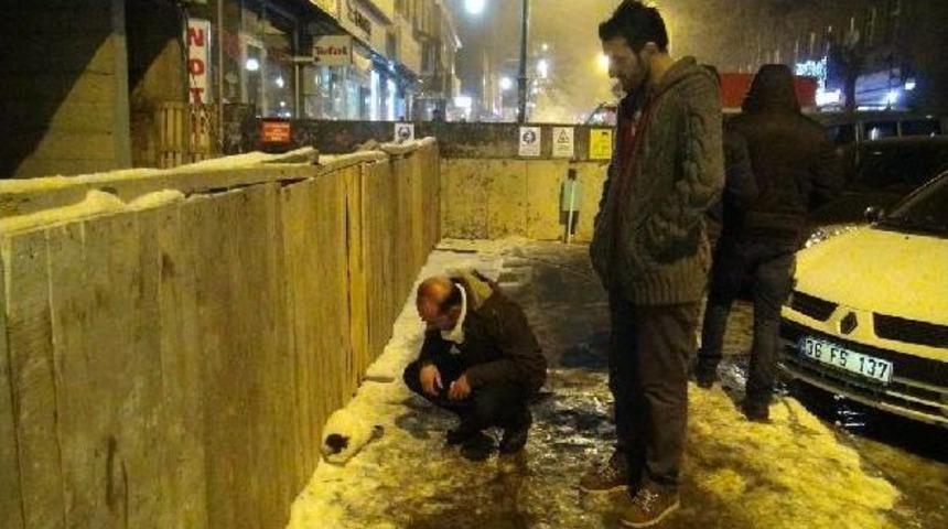 Otomobilin &Ccedil;arptiği Kedi Tedavi Altina Alindi