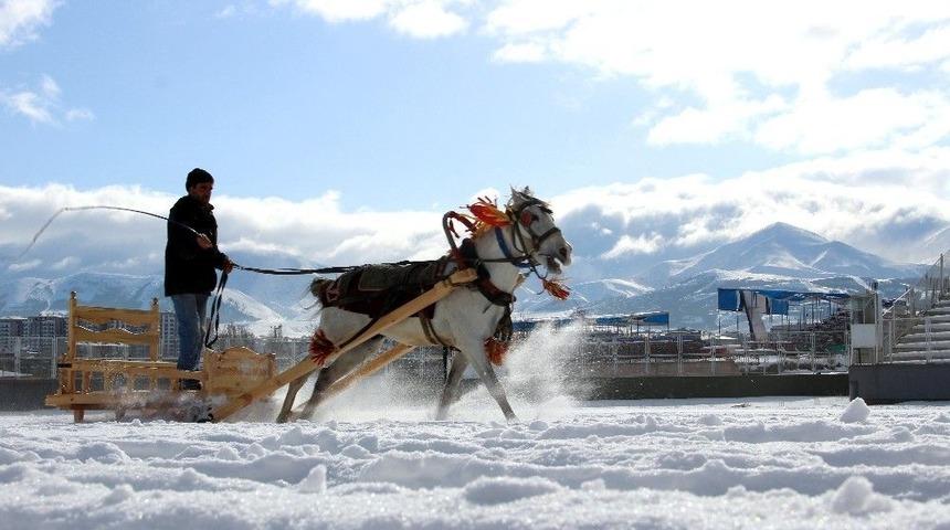 Geleneksel Atlı Kızak Yarışları Nefes Kesti