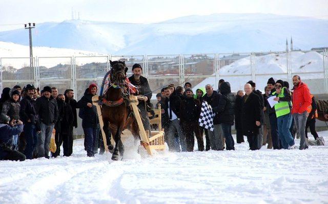 Geleneksel Atlı Kızak Yarışları Nefes Kesti