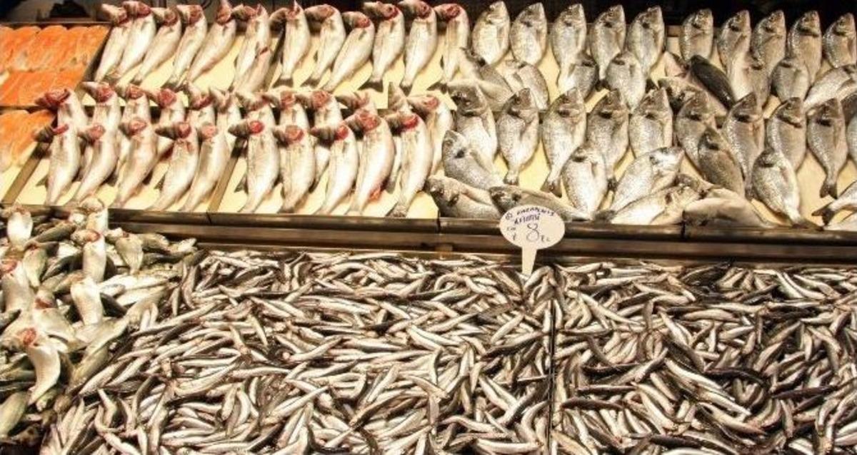 Havaların R&uuml;zgarlı Olması Balık Fiyatlarını Artırdı