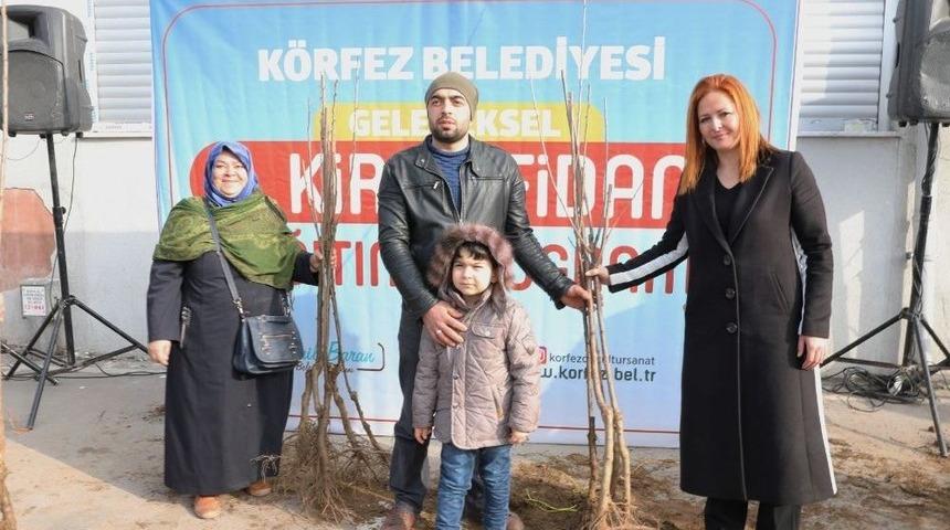 K&ouml;rfez Belediyesi&rsquo;nden Her Bah&ccedil;eye Kiraz Fidanı