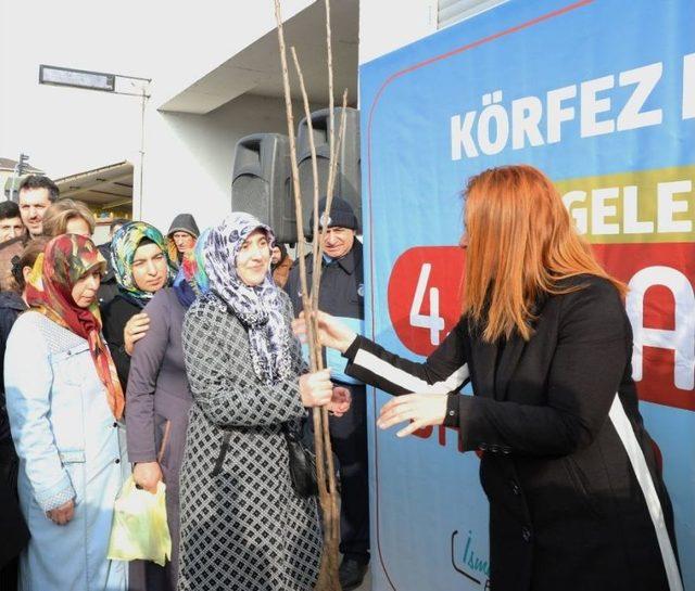 Körfez Belediyesi’nden Her Bahçeye Kiraz Fidanı