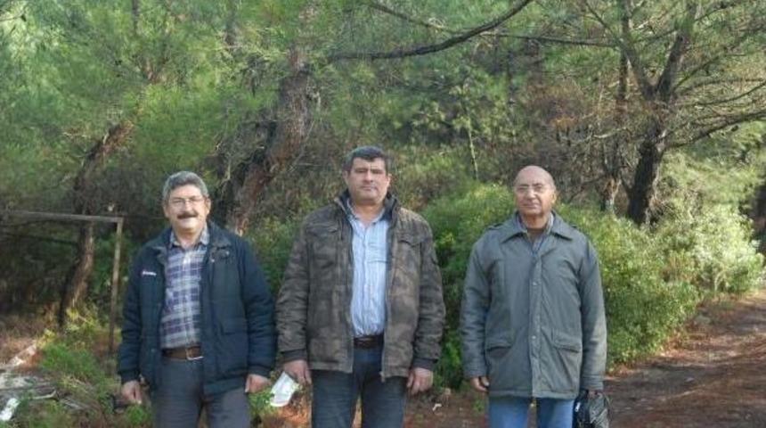 Res İ&ccedil;in Bin Ağa&ccedil; Kesilecek