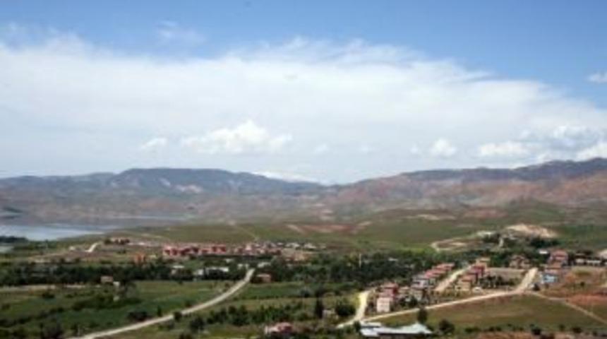 Tunceli&rsquo;nin Pertek İl&ccedil;esinde Kuduz Karantinası