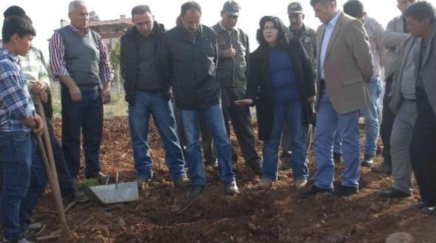 Fethiye&rsquo;ye 650 Bin Fidan Dikiliyor