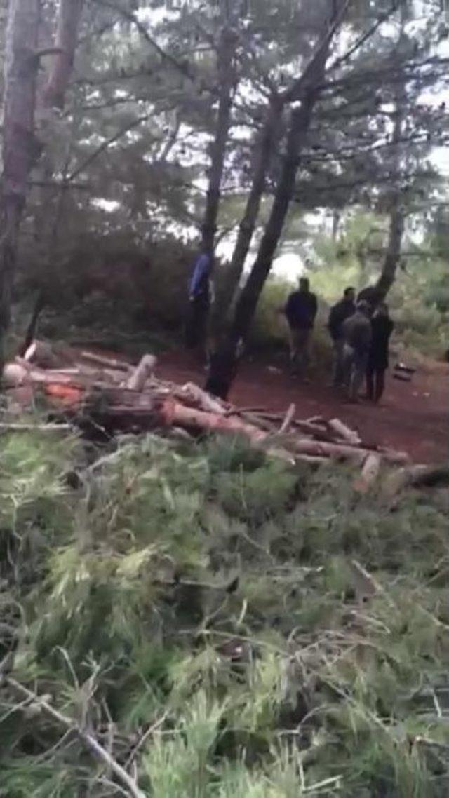 Res İçin Bin Ağaç Kesilecek (2) 3