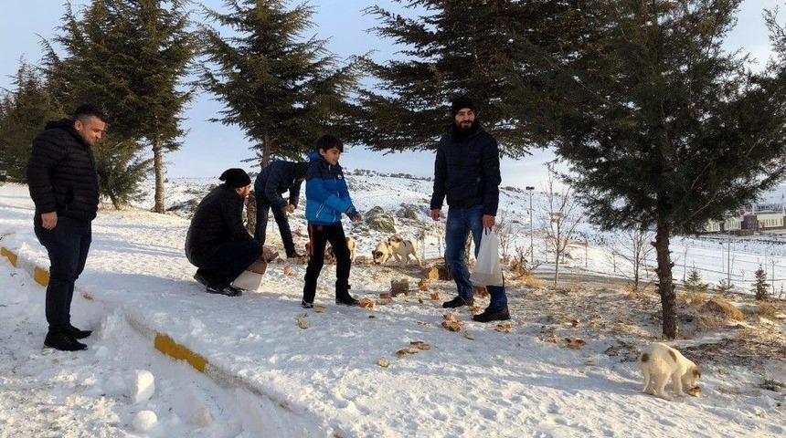 Yozgat&rsquo;ta Yaban Hayvanlarına Yem Bırakıldı