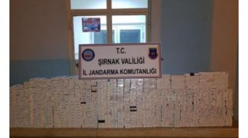 Şırnak&rsquo;ta 4 Bin 250 Paket Ka&ccedil;ak Sigara Ele Ge&ccedil;irildi