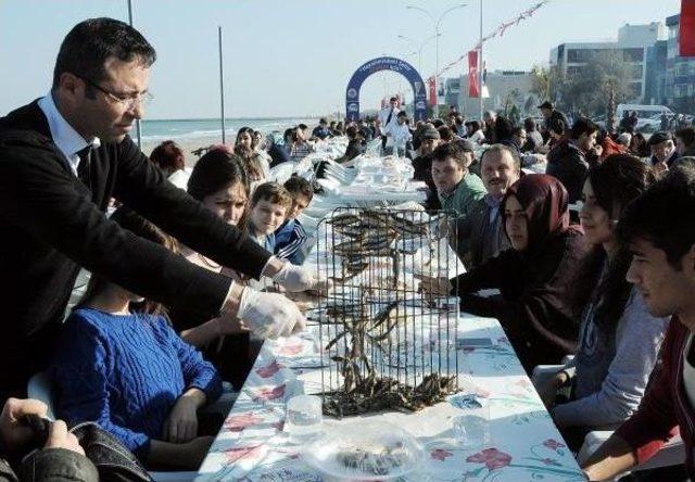 Samsun da 10 Bin Kişiye 3 Ton Hamsi Dağitildi 2