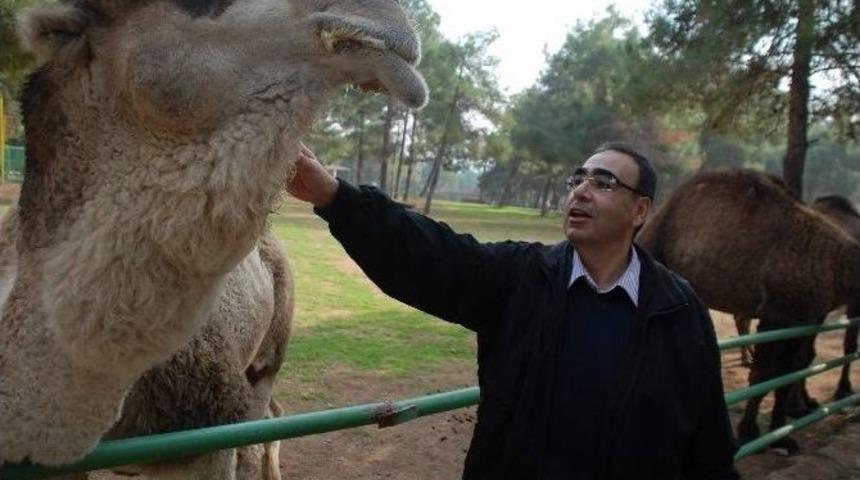 (&ouml;zel Haber) Hayvanat Bah&ccedil;esini 2 Milyon 750 Bin Kişi Ziyaret Etti