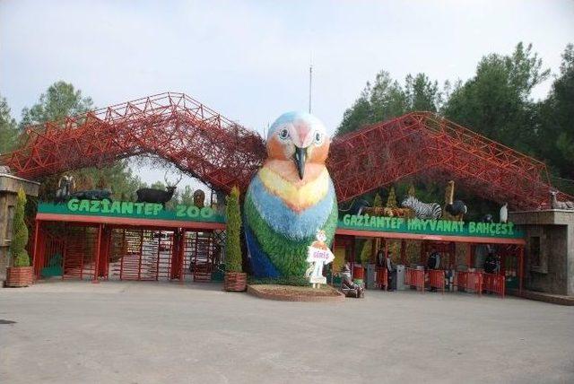 (&ouml;zel Haber) Hayvanat Bah&ccedil;esini 2 Milyon 750 Bin Kişi Ziyaret Etti 1